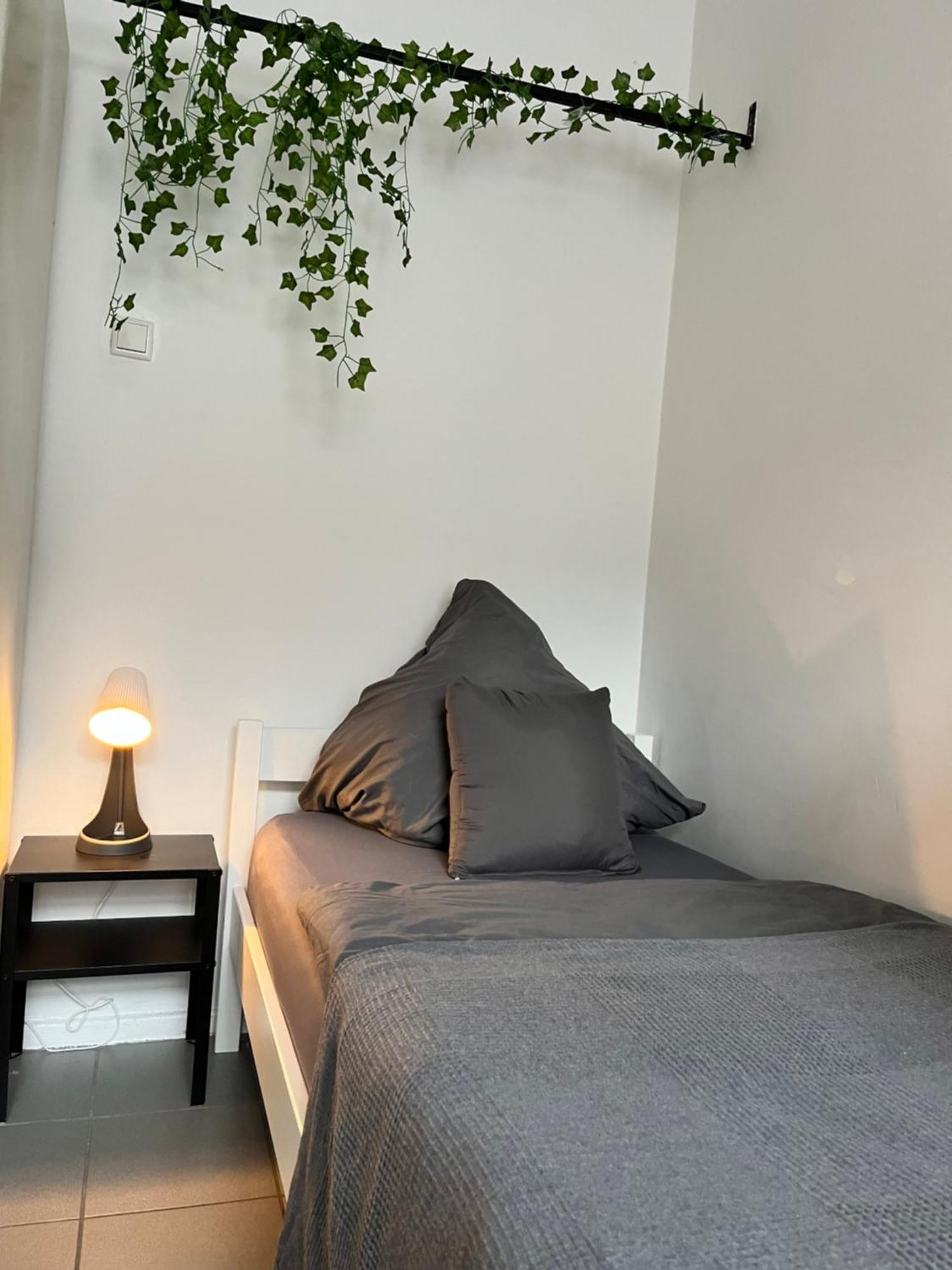 10d 55qm Wi-fi Free Parking Calm Back House Dortmund
